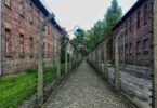 Walking Through Shadows The Allure and Ethics of Dark Tourism