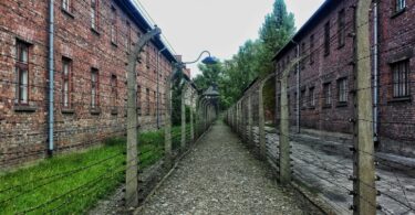 Walking Through Shadows The Allure and Ethics of Dark Tourism