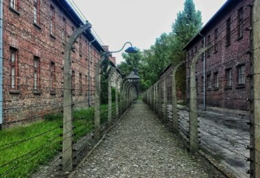 Walking Through Shadows The Allure and Ethics of Dark Tourism