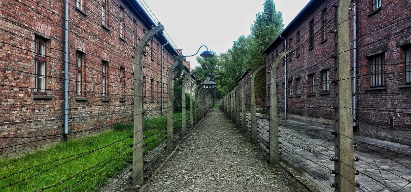 Walking Through Shadows The Allure and Ethics of Dark Tourism